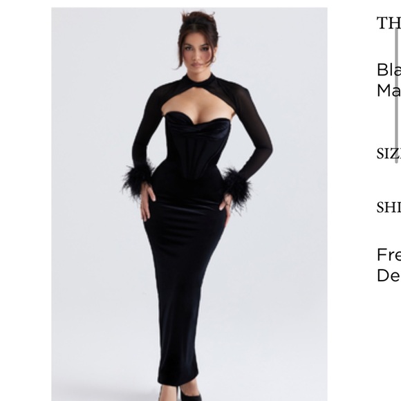 House of CB Dresses & Skirts - House of CB Velvet Dress + Feather Trim